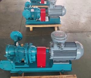 無(wú)堵塞強(qiáng)自吸轉(zhuǎn)子泵